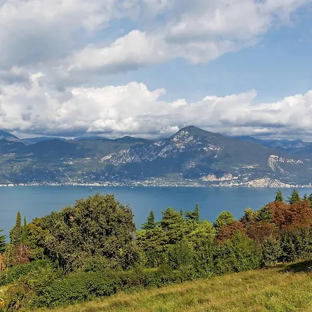 New Singola San Zeno di Montagna